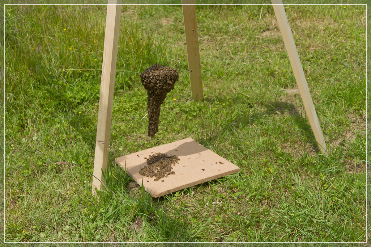 irgendwann muss man langsam hochziehen irgendwann muss man langsam hochziehen