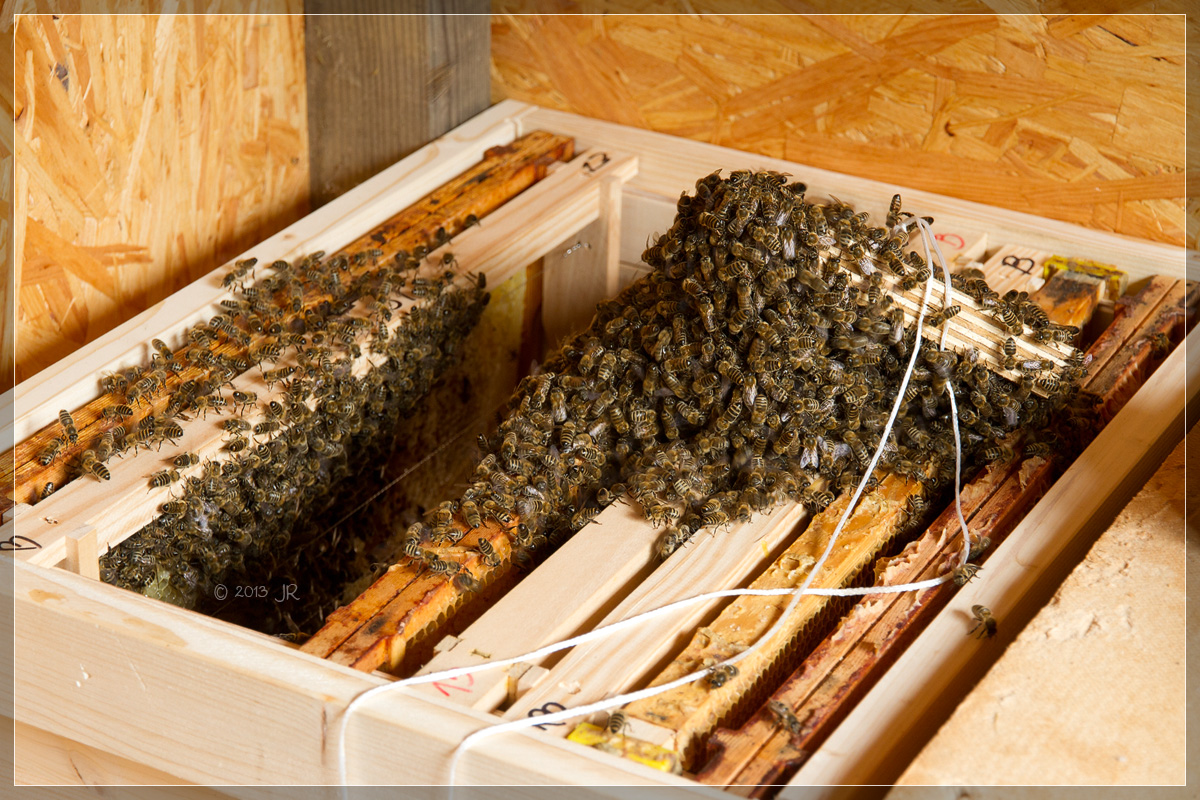 Einlaufen in den Kasten Einlaufen in den Kasten